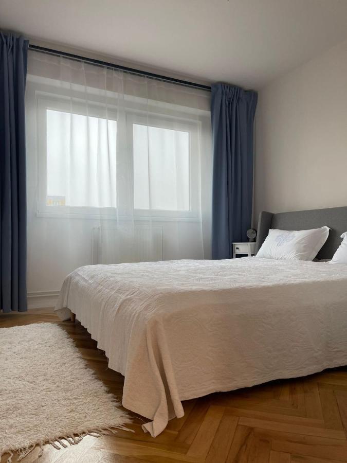 Apartament Mony Timisoara Exterior photo